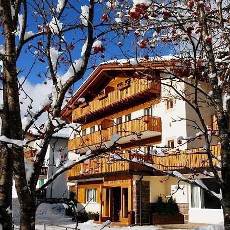 Residence Adler サン・マルティーノ・ディ・カストロッツァ エクステリア 写真